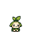 Woodland spirit Hatchling