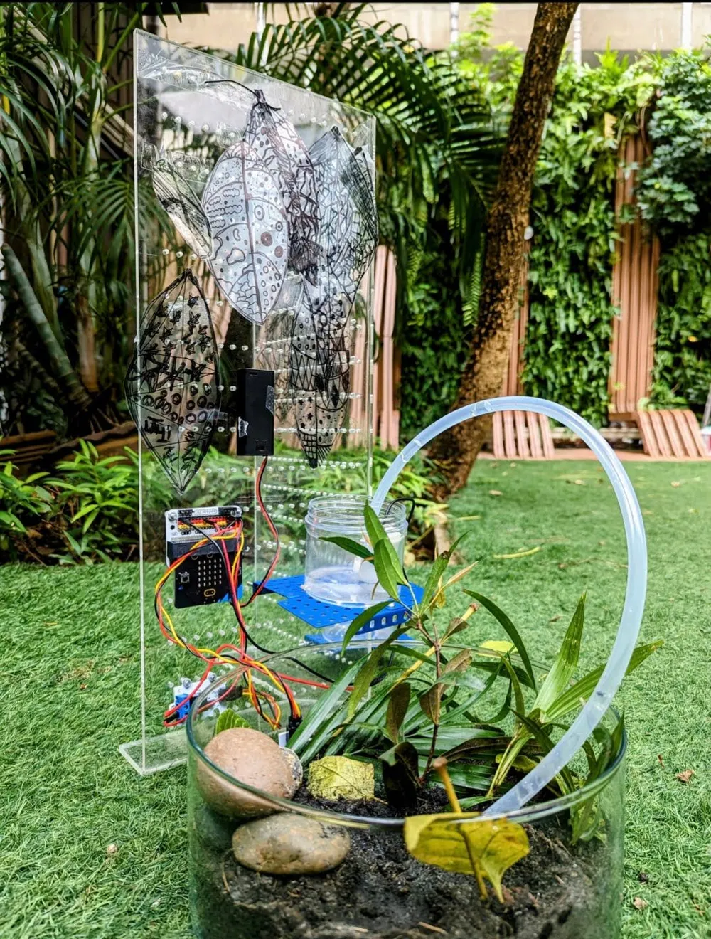A micro:bit, tubing and planted glass bowl beside a transparent panel of leaf drawings