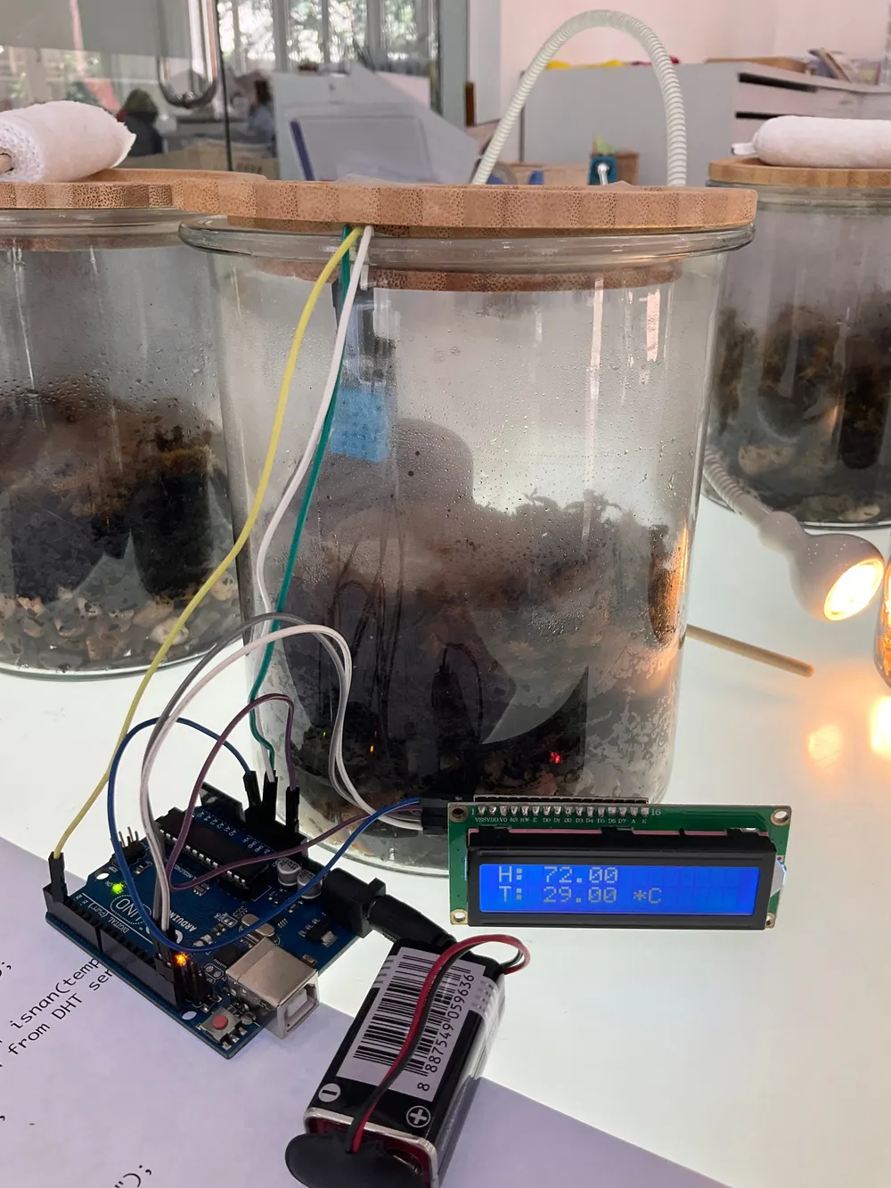 A terrarium linked to an Arduino, humidity sensor and display